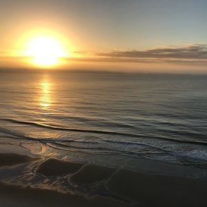 Meet your Posher, Dianne